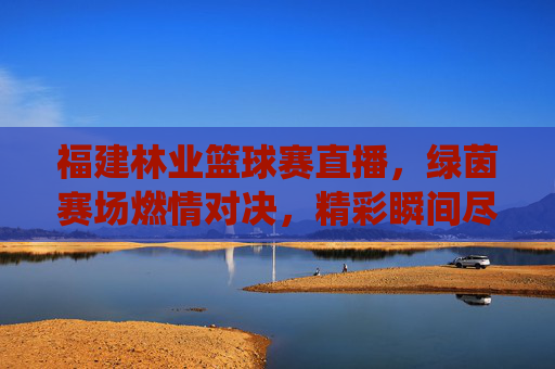 福建林业篮球赛直播,绿茵赛场燃情对决,精彩瞬间尽在镜头前——聚焦林业系统篮球赛事的线上狂欢