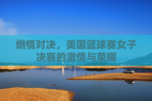 燃情对决,美国篮球赛女子决赛的激情与荣耀