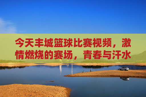 今天丰城篮球比赛视频,激情燃烧的赛场,青春与汗水的交响
