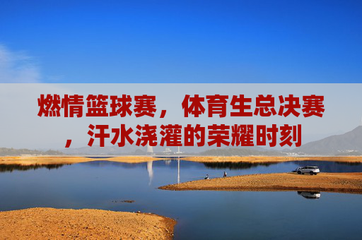 燃情篮球赛,体育生总决赛,汗水浇灌的荣耀时刻