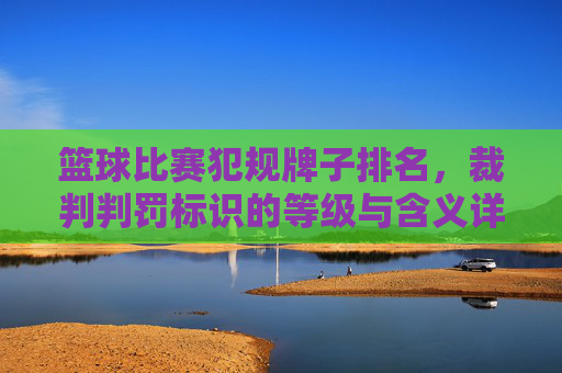 篮球比赛犯规牌子排名,裁判判罚标识的等级与含义详解,篮球比赛犯规牌子排名,裁判判罚标识的等级与含义详解