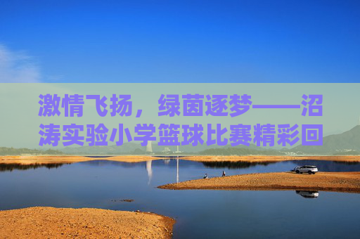激情飞扬，绿茵逐梦——沼涛实验小学篮球比赛精彩回顾