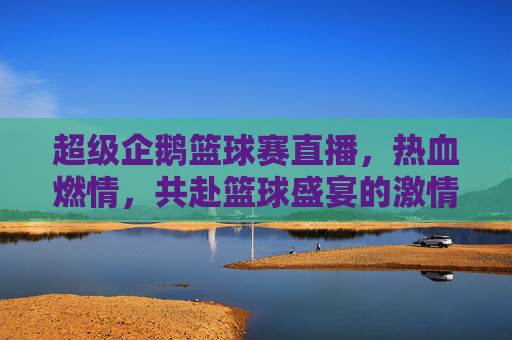 超级企鹅篮球赛直播，热血燃情，共赴篮球盛宴的激情时刻，超级企鹅篮球赛直播，热血燃情，共赴篮球盛宴的激情时刻