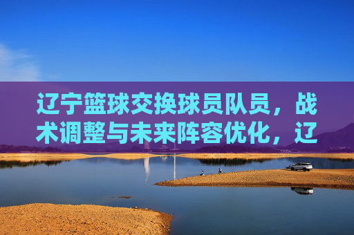 辽宁篮球交换球员队员,战术调整与未来阵容优化,辽宁篮球球员交换,战术调整与未来阵容优化