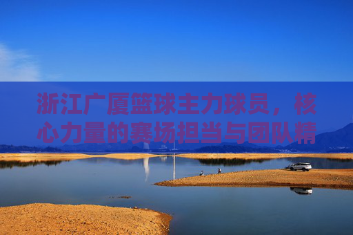 浙江广厦篮球主力球员,核心力量的赛场担当与团队精神的传承