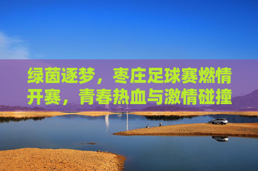 绿茵逐梦,枣庄足球赛燃情开赛,青春热血与激情碰撞的精彩瞬间