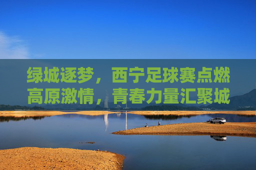 绿城逐梦，西宁足球赛点燃高原激情，青春力量汇聚城市活力