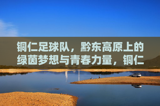 铜仁足球队，黔东高原上的绿茵梦想与青春力量，铜仁足球队，黔东高原上的绿茵梦想与青春力量