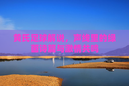 黄氏足球解说,声线里的绿茵诗篇与激情共鸣