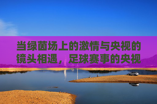 当绿茵场上的激情与央视的镜头相遇,足球赛事的央视转播魅力与时代印记
