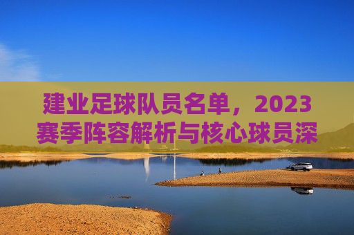 建业足球队员名单，2023赛季阵容解析与核心球员深度剖析，2023赛季建业足球队员名单，阵容解析与核心球员深度剖析