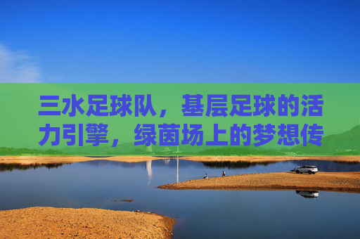 三水足球队，基层足球的活力引擎，绿茵场上的梦想传承，三水足球队，基层足球的活力引擎，绿茵场上的梦想传承