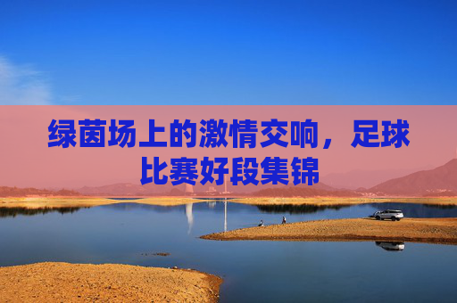 绿茵场上的激情交响，足球比赛好段集锦