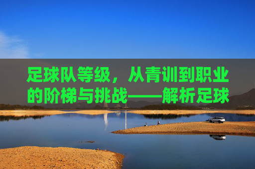 足球队等级，从青训到职业的阶梯与挑战——解析足球联赛体系的分层结构