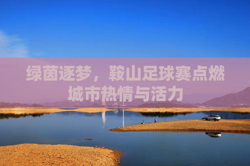 绿茵逐梦，鞍山足球赛点燃城市热情与活力
