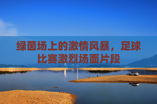 绿茵场上的激情风暴，足球比赛激烈场面片段
