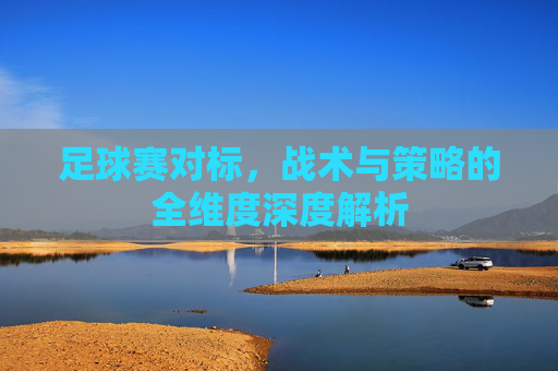足球赛对标，战术与策略的全维度深度解析