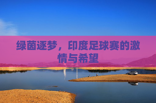 绿茵逐梦,印度足球赛的激情与希望