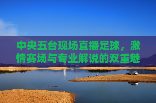 中央五台现场直播足球,激情赛场与专业解说的双重魅力