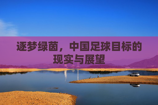 逐梦绿茵,中国足球目标的现实与展望