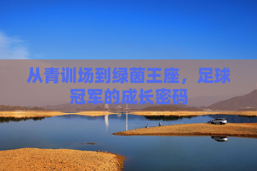 从青训场到绿茵王座,足球冠军的成长密码