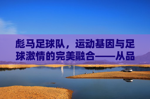 彪马足球队，运动基因与足球激情的完美融合——从品牌到赛场的荣耀传承
