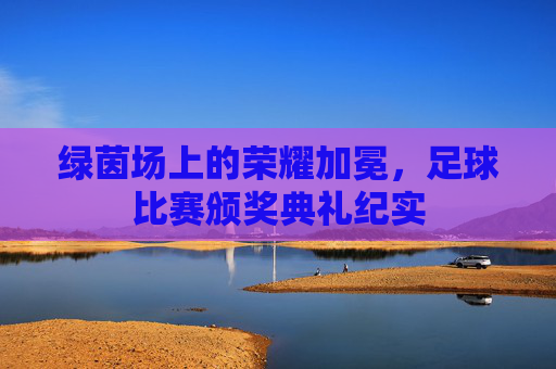 绿茵场上的荣耀加冕,足球比赛颁奖典礼纪实
