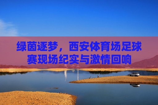 绿茵逐梦,西安体育场足球赛现场纪实与激情回响