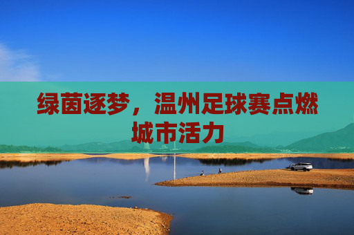 绿茵逐梦，温州足球赛点燃城市活力