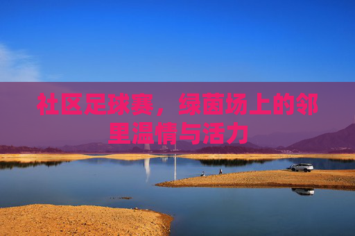 社区足球赛,绿茵场上的邻里温情与活力