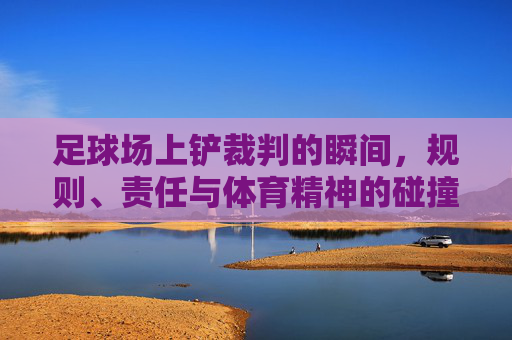 足球场上铲裁判的瞬间，规则、责任与体育精神的碰撞