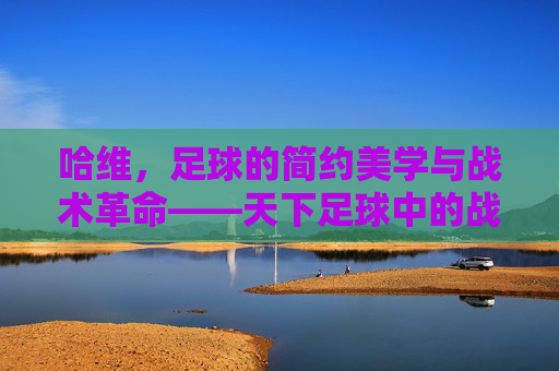 哈维，足球的简约美学与战术革命——天下足球中的战术圣手