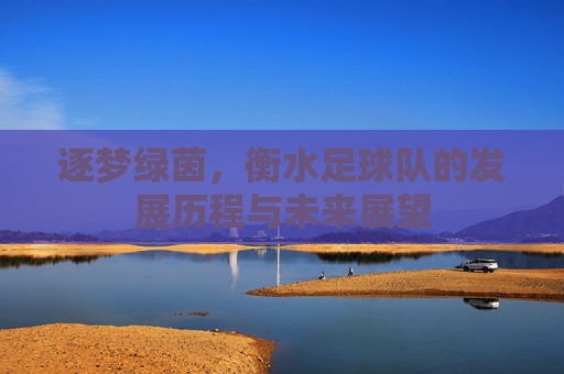 逐梦绿茵，衡水足球队的发展历程与未来展望