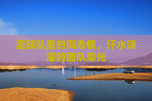 足球队里的同志情，汗水浇灌的团队荣光