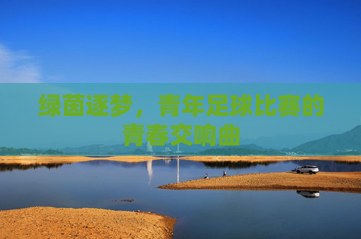 绿茵逐梦，青年足球比赛的青春交响曲