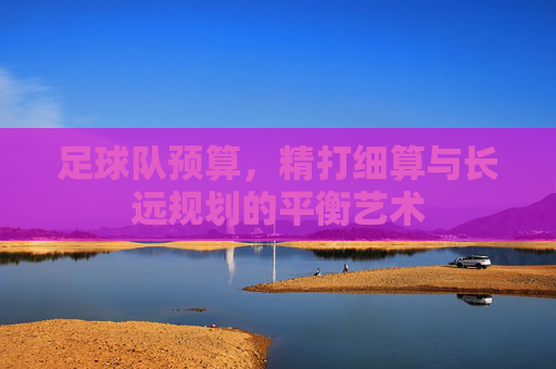 足球队预算，精打细算与长远规划的平衡艺术