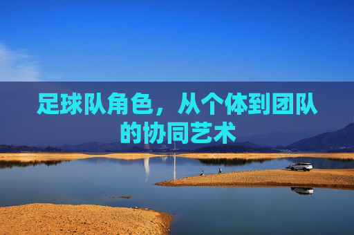 足球队角色，从个体到团队的协同艺术