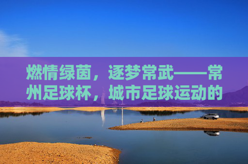 燃情绿茵,逐梦常武——常州足球杯,城市足球运动的活力缩影