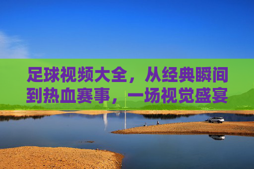 足球视频大全,从经典瞬间到热血赛事,一场视觉盛宴的全面指南