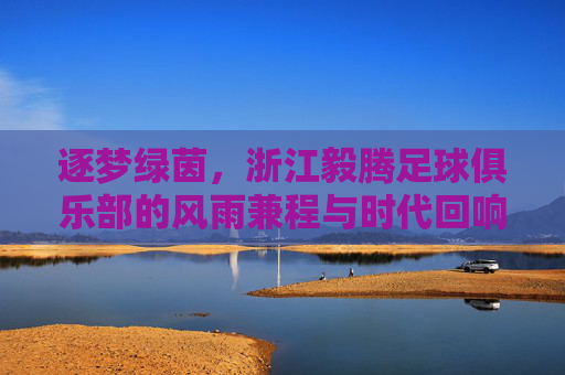 逐梦绿茵,浙江毅腾足球俱乐部的风雨兼程与时代回响,逐梦绿茵,浙江毅腾足球俱乐部的风雨兼程与时代回响