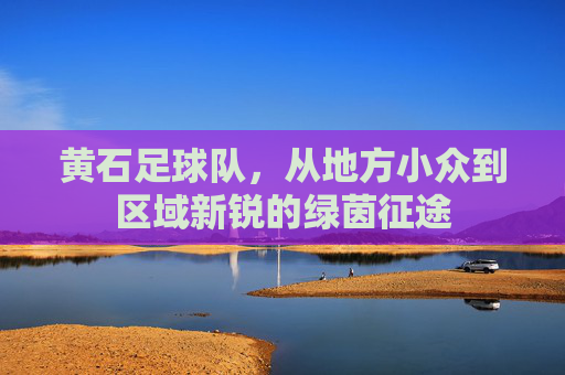 黄石足球队,从地方小众到区域新锐的绿茵征途
