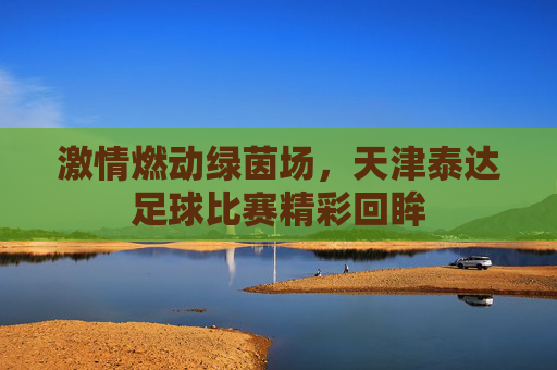 激情燃动绿茵场，天津泰达足球比赛精彩回眸