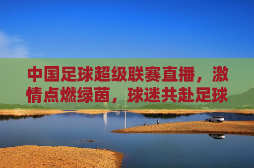 中国足球超级联赛直播,激情点燃绿茵,球迷共赴足球盛宴