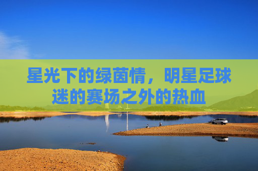 星光下的绿茵情，明星足球迷的赛场之外的热血