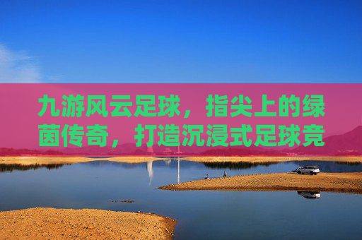 九游风云足球，指尖上的绿茵传奇，打造沉浸式足球竞技新体验