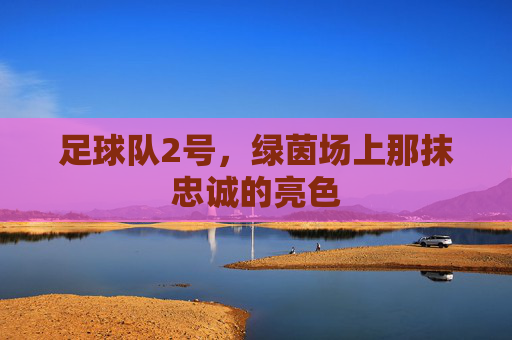 足球队2号，绿茵场上那抹忠诚的亮色