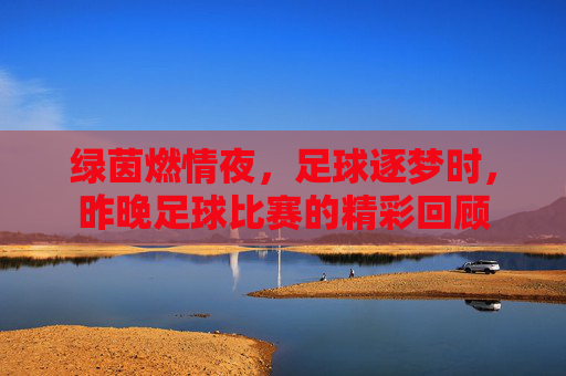 绿茵燃情夜,足球逐梦时,昨晚足球比赛的精彩回顾