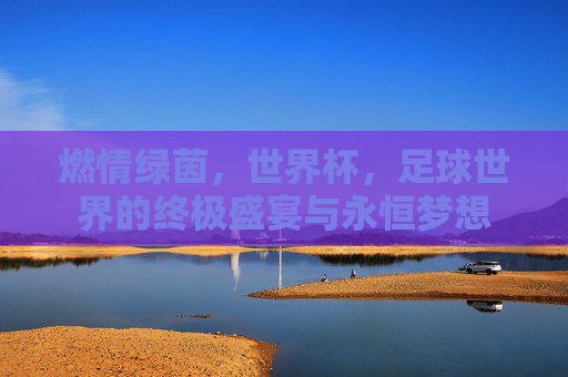 燃情绿茵,世界杯,足球世界的终极盛宴与永恒梦想