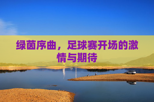 绿茵序曲，足球赛开场的激情与期待