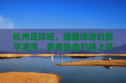 杭州足球吧,绿茵场边的数字港湾,青春热血的线上共鸣